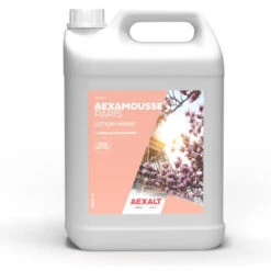 Crème Nettoyante AEXALT AEXAMOUSSE PARIS - Bidon De 5 L - SA609