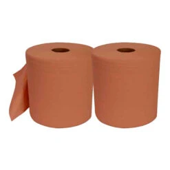 Bobine Essuyage Chamois 1000 Feuilles 21x30 écolabel 2 Plis - Lot De 2