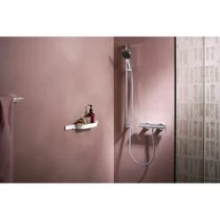 HANSGROHE WallStoris Ensemble D'accessoires Pour La Douche Blanc Mat 27967700 -Wenko || Grohe || HOMCOM Soldes 99634886 3